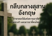 รหัสกลีบกลางสุสานอังกฤษ: ภาษาดอกไม้แห่งความอาลัย ความทรงจำ และมารยาทที่คนไทยควรรู้